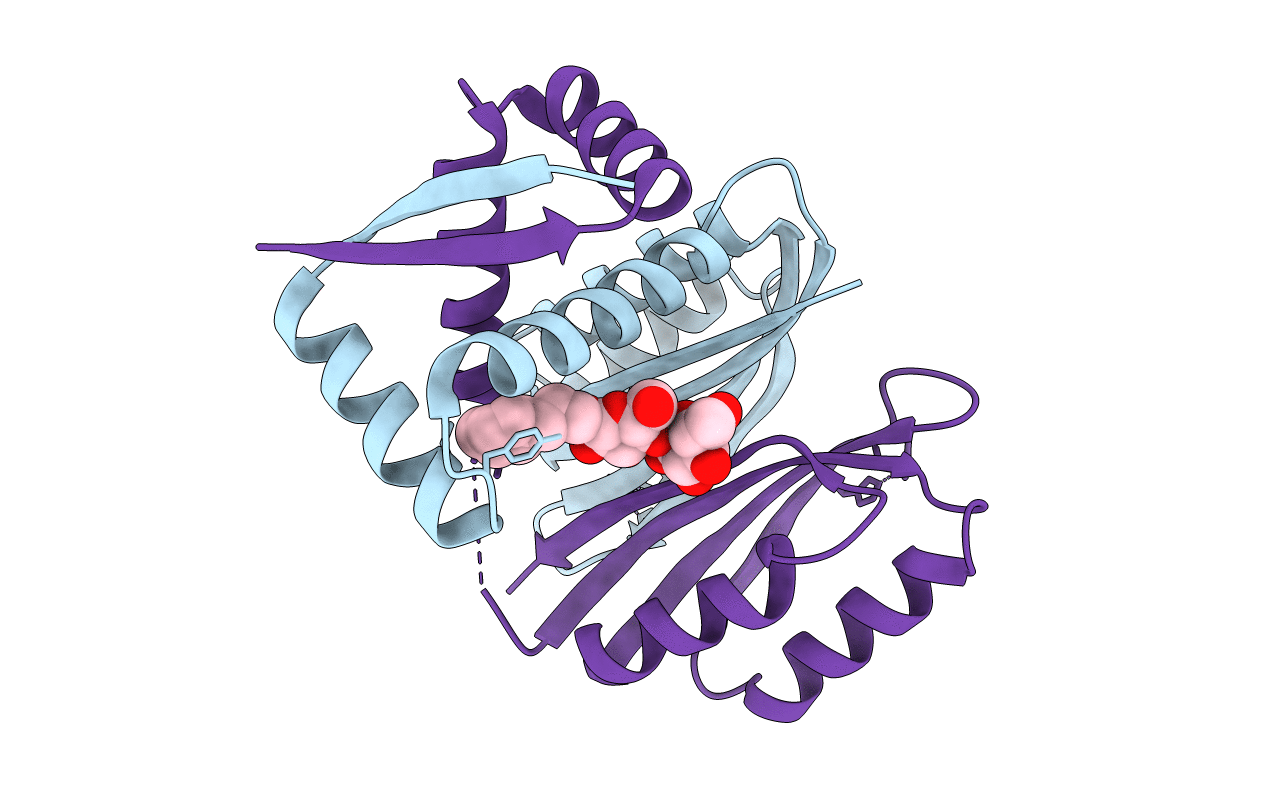 2HZA image