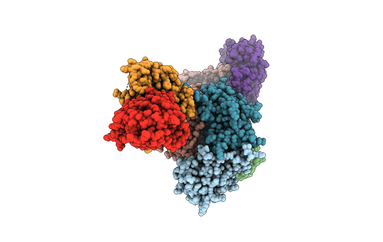 2HZM image