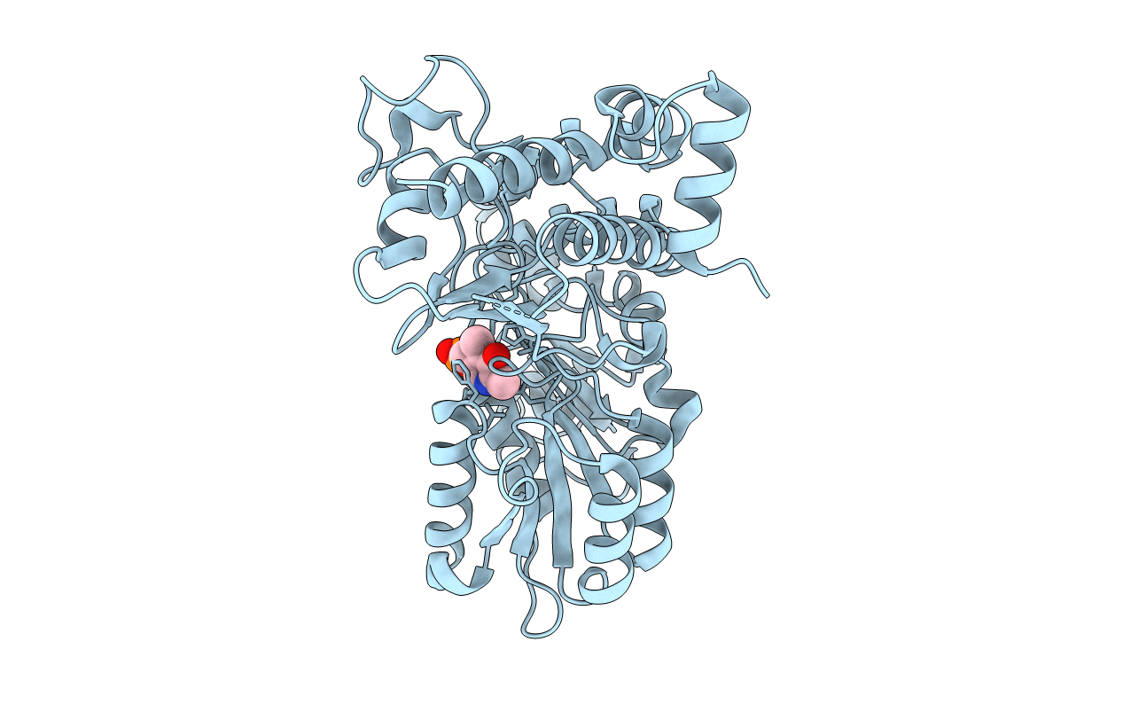 2HZP image