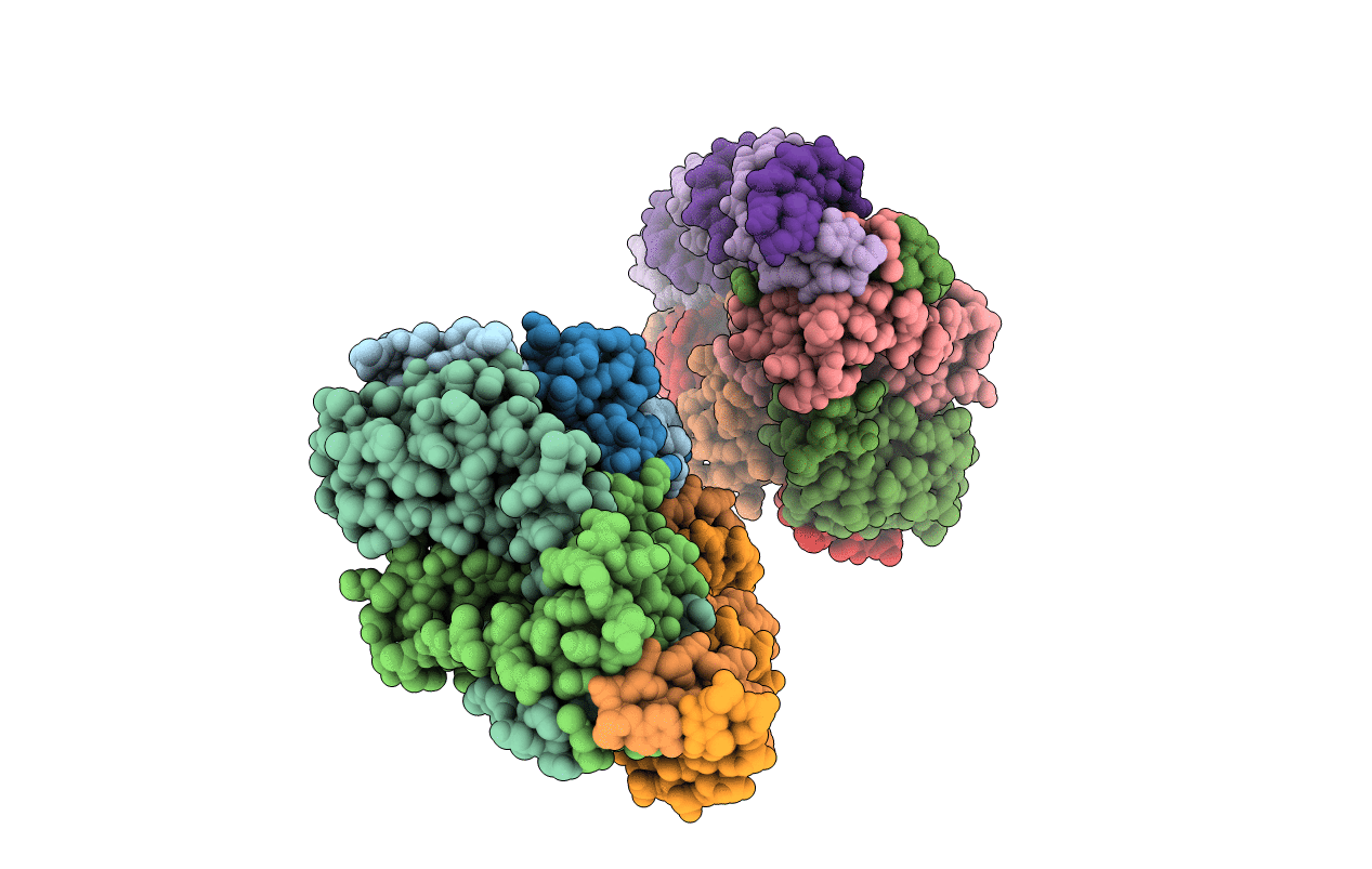 2HZV image