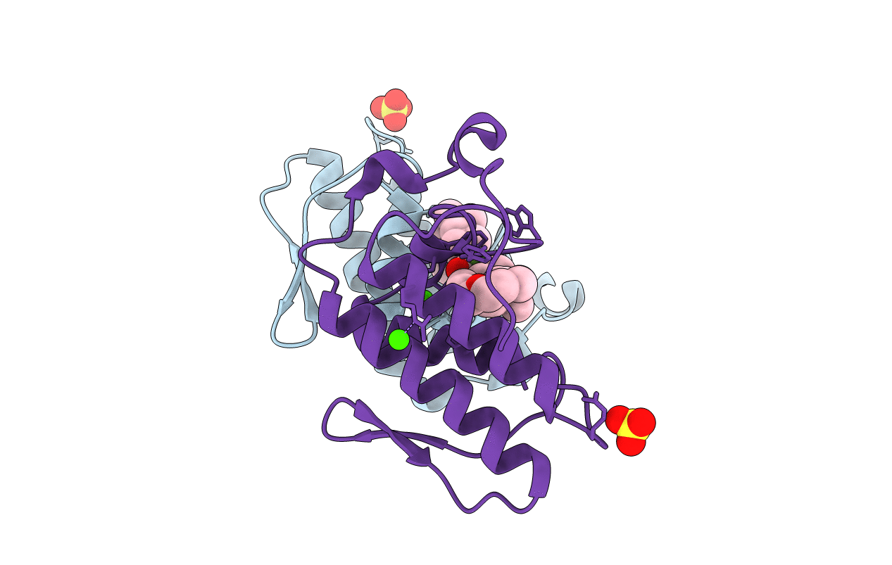 2I0U image