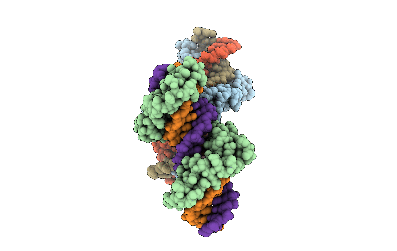 2I13 image