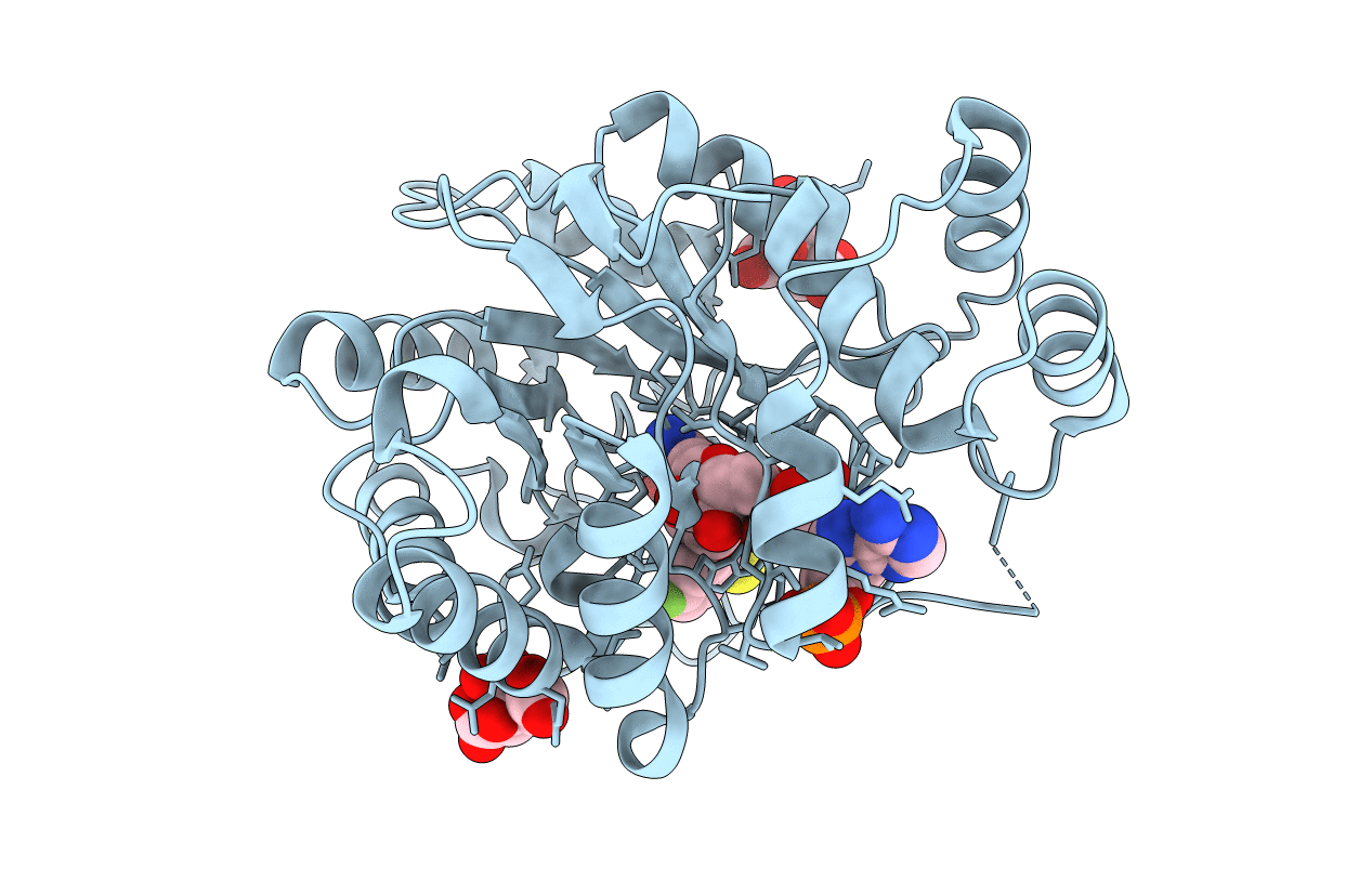2I16 image