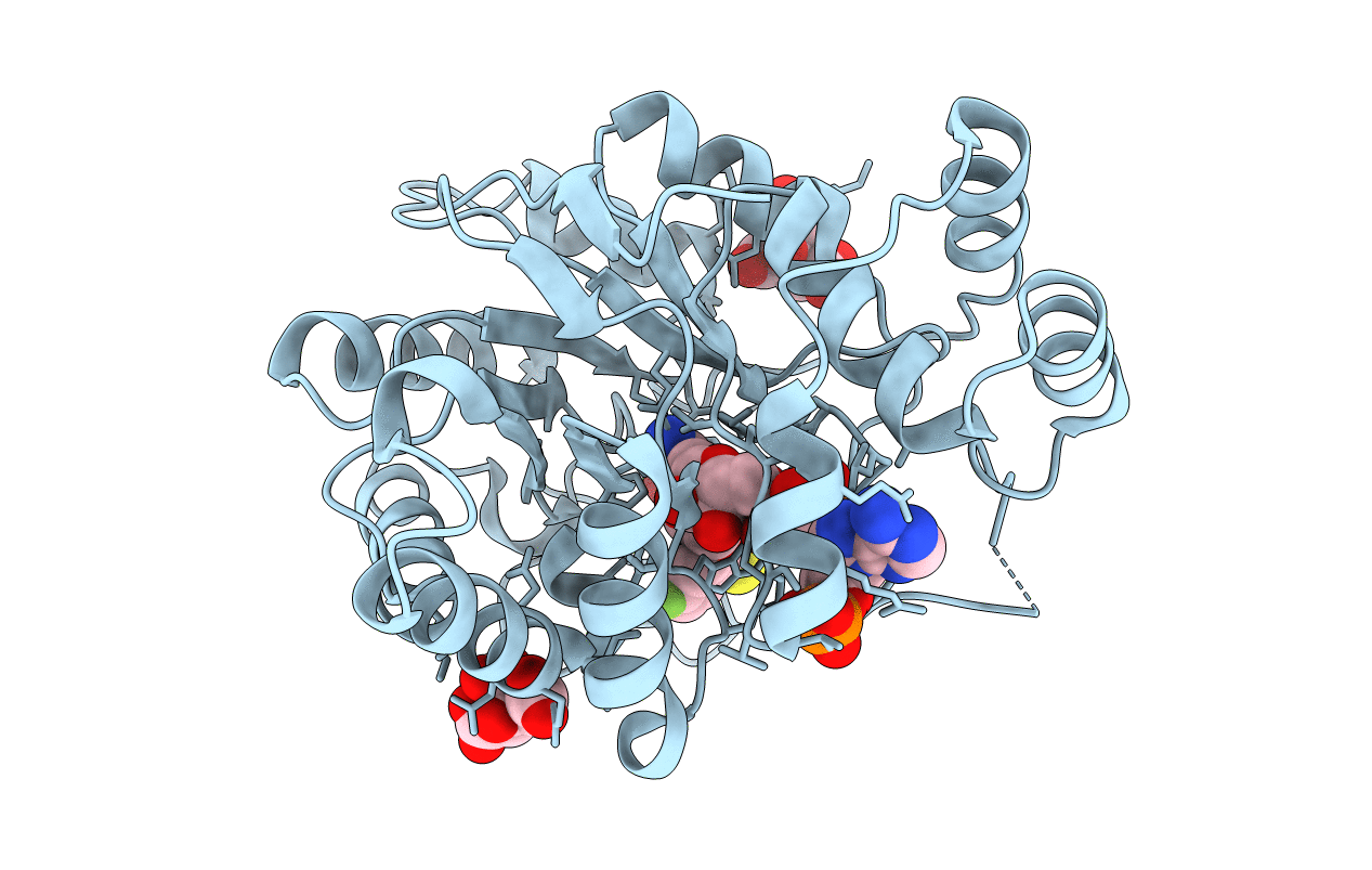 2I17 image