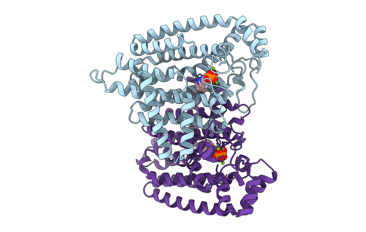 2I19 image