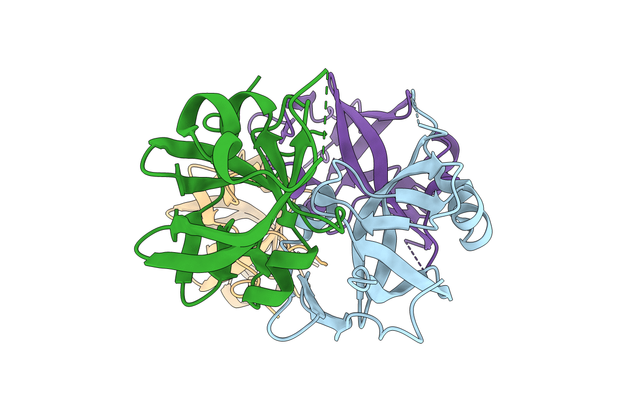 2I1A image