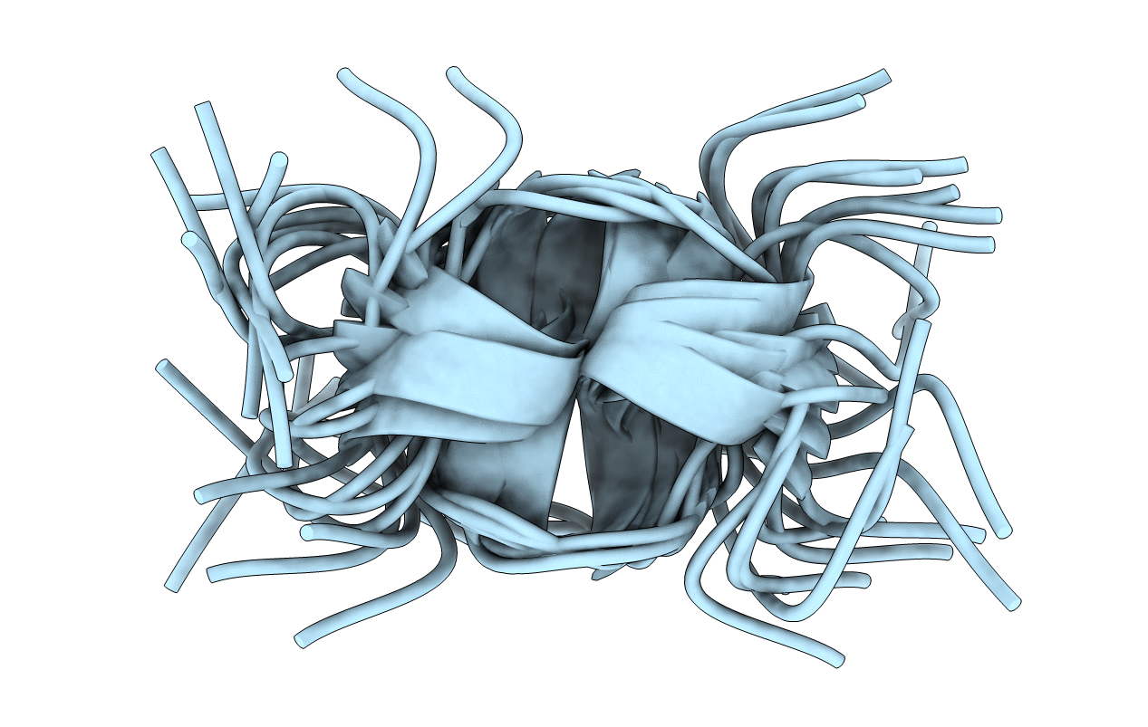 2I1E image
