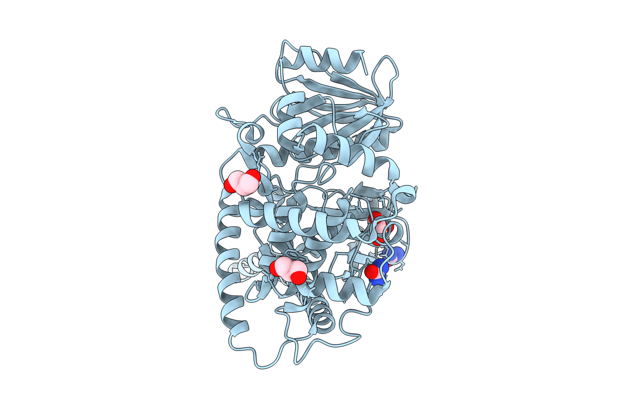 2I1J image