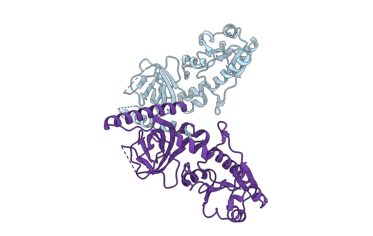 2I1L image