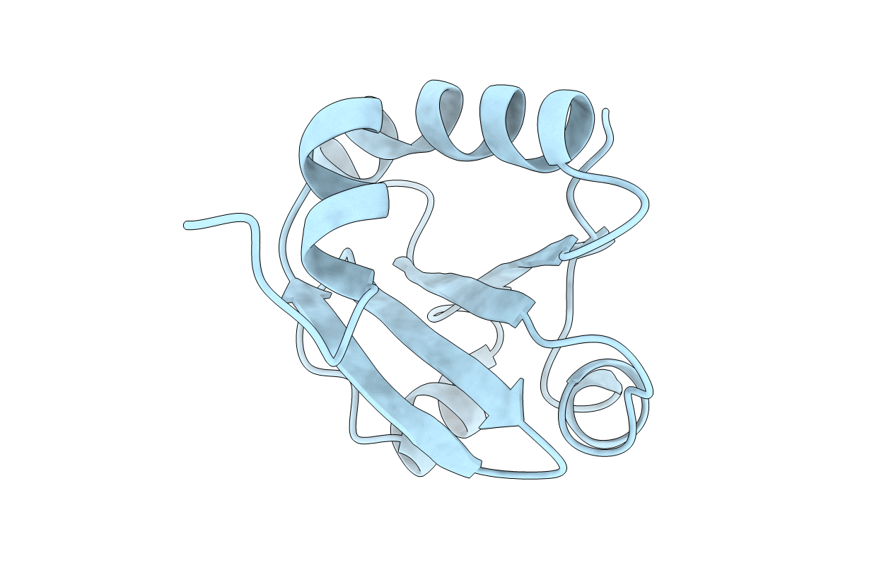 2I1U image