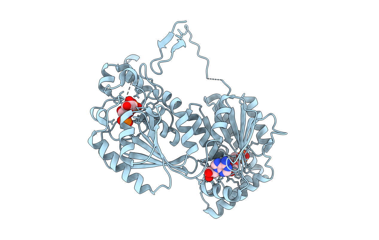 2I1V image