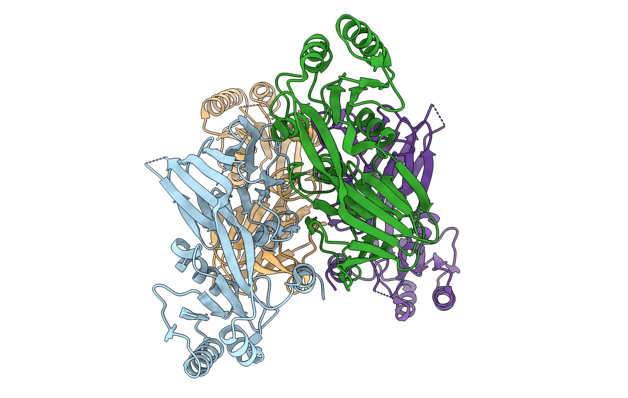 2I1W image