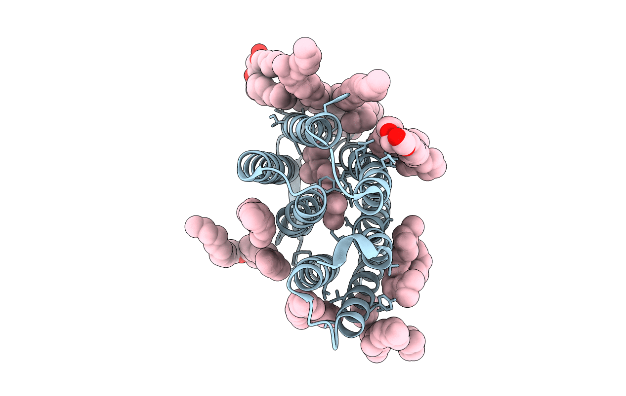 2I1X image