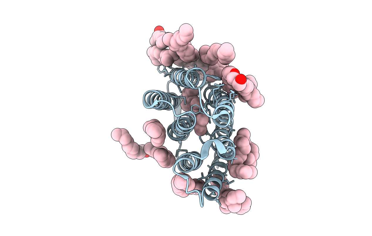 2I20 image