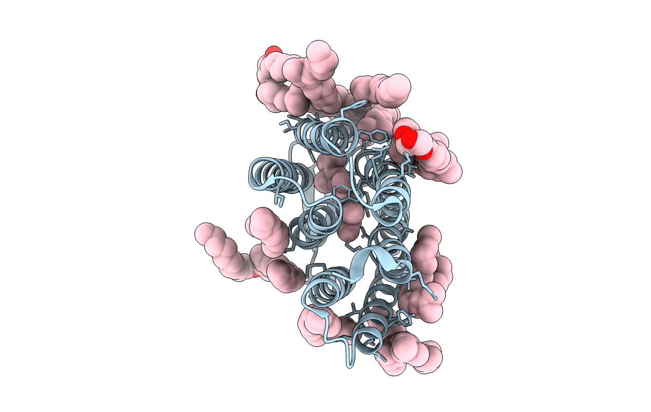 2I21 image