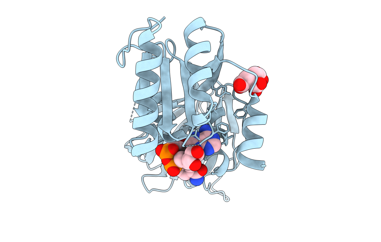 2I29 image
