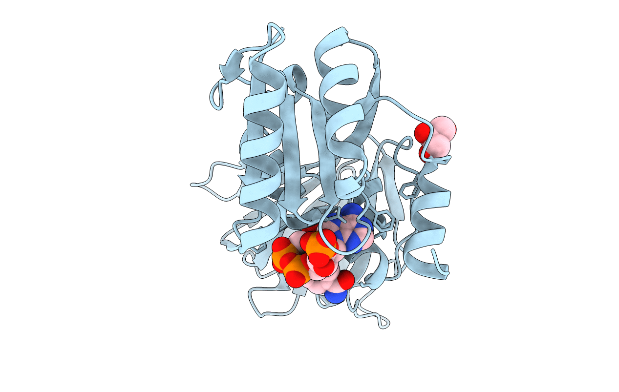 2I2A image