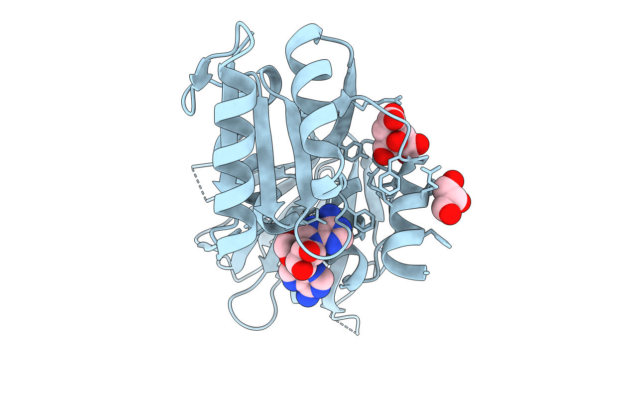 2I2B image