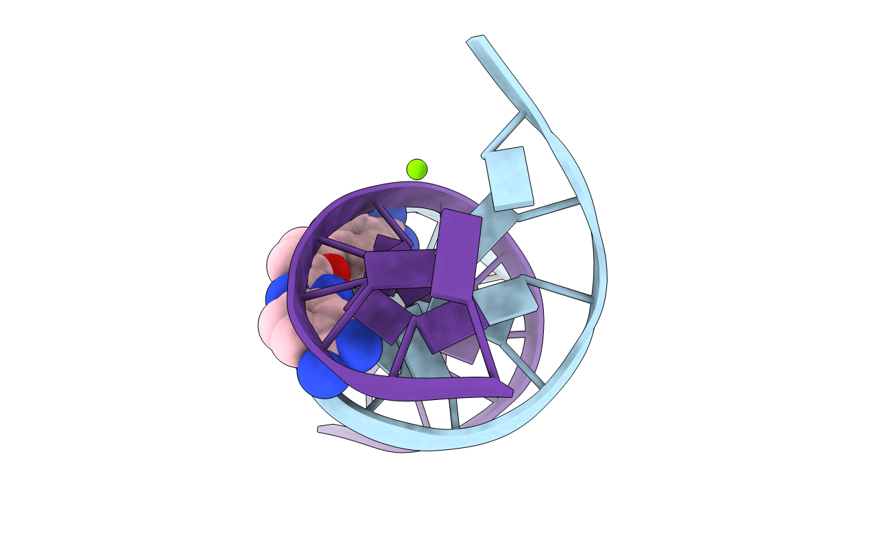 2I2I image
