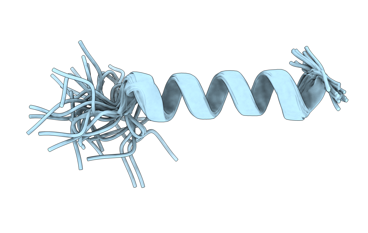 2I2J image