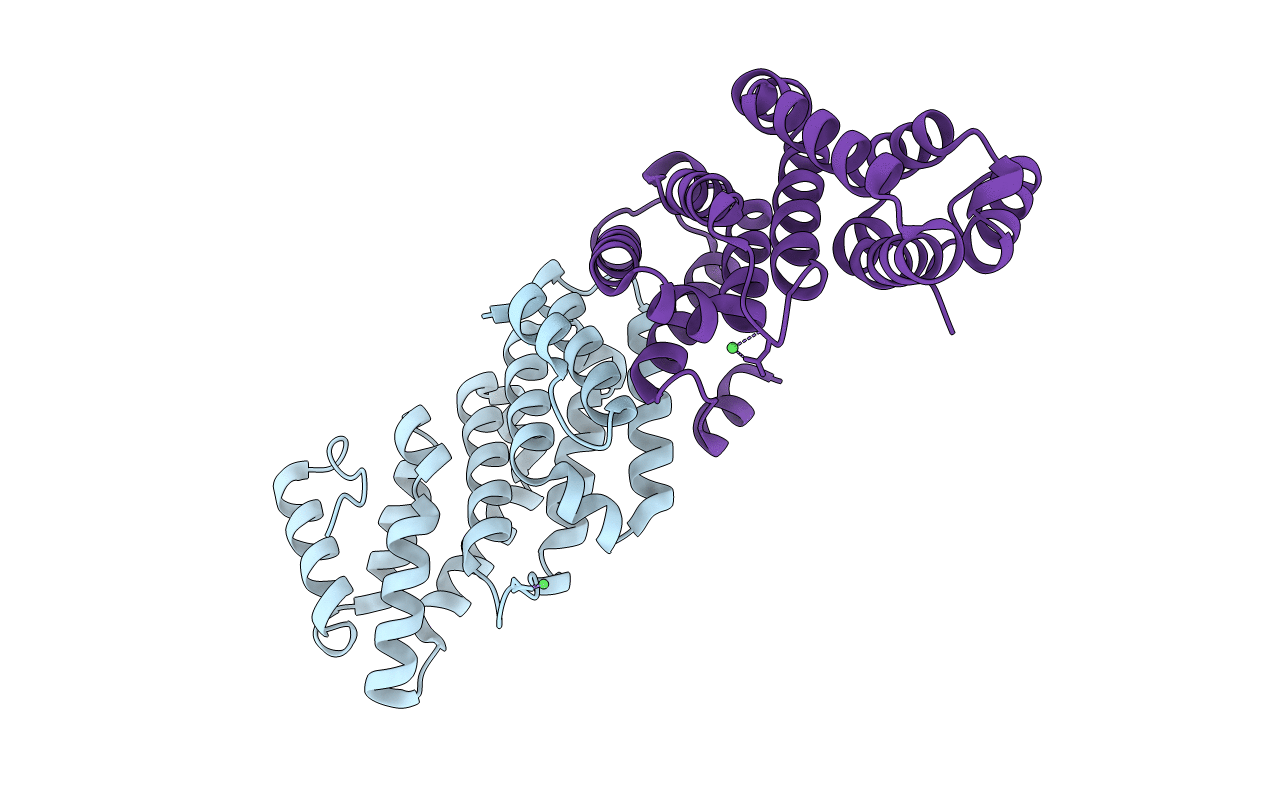 2I2O image