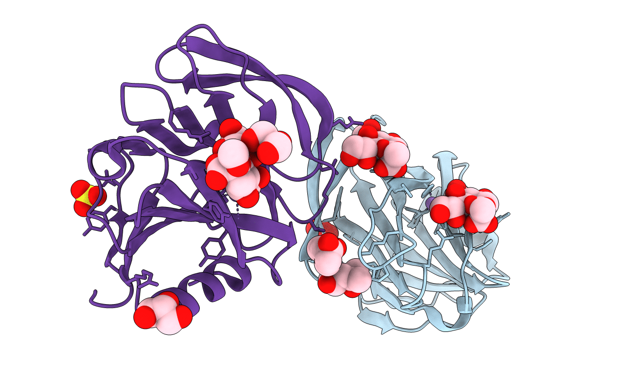 2I2S image