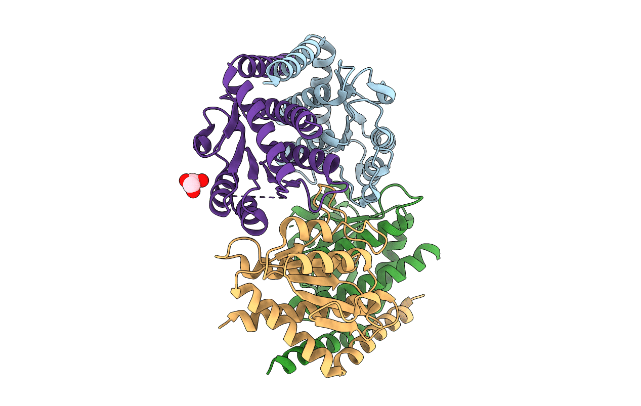 2I2W image