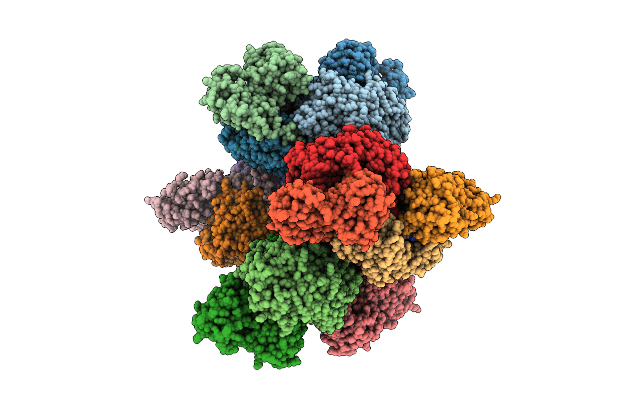 2I2X image