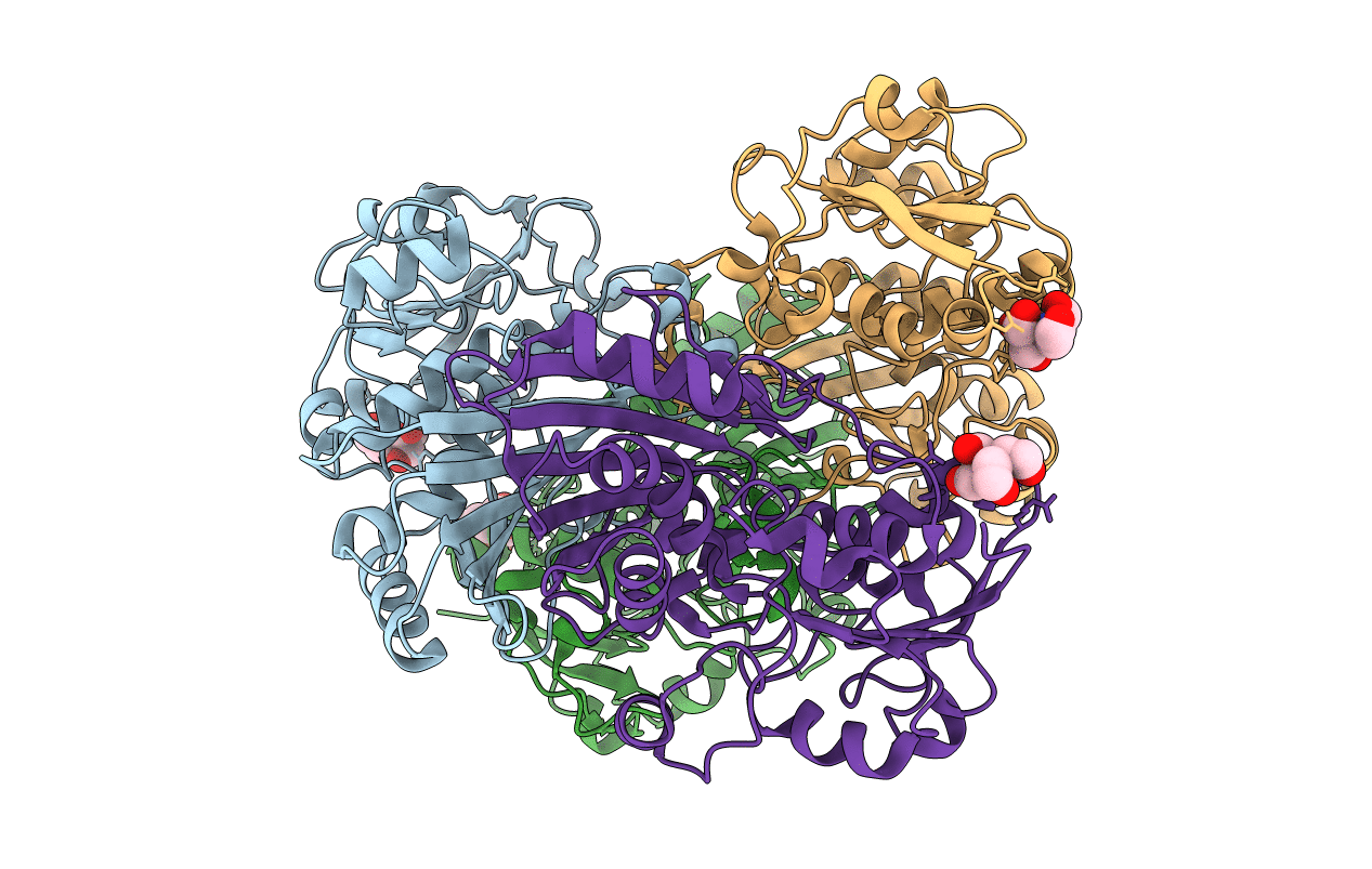 2I3A image