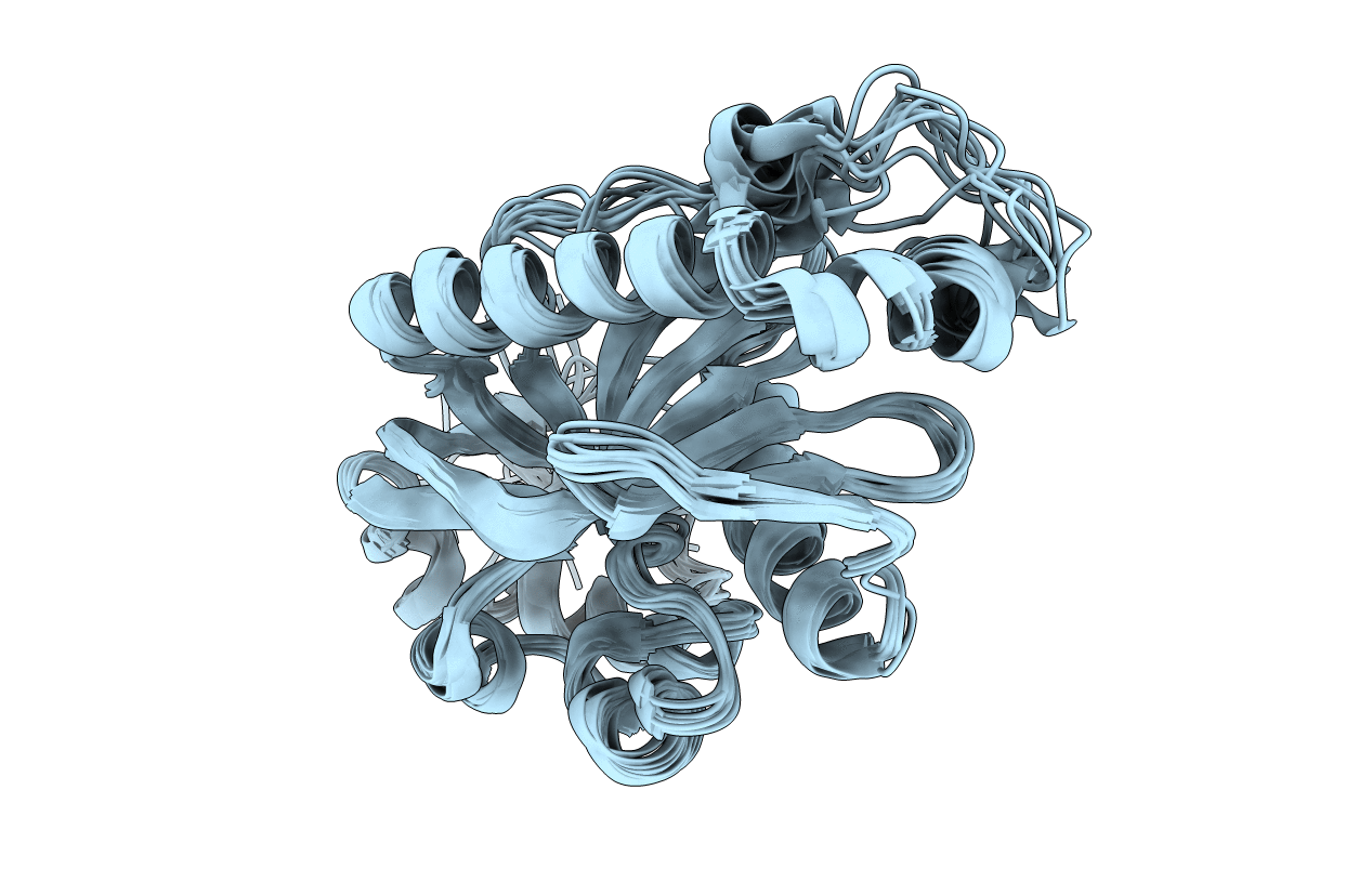 2I3E image