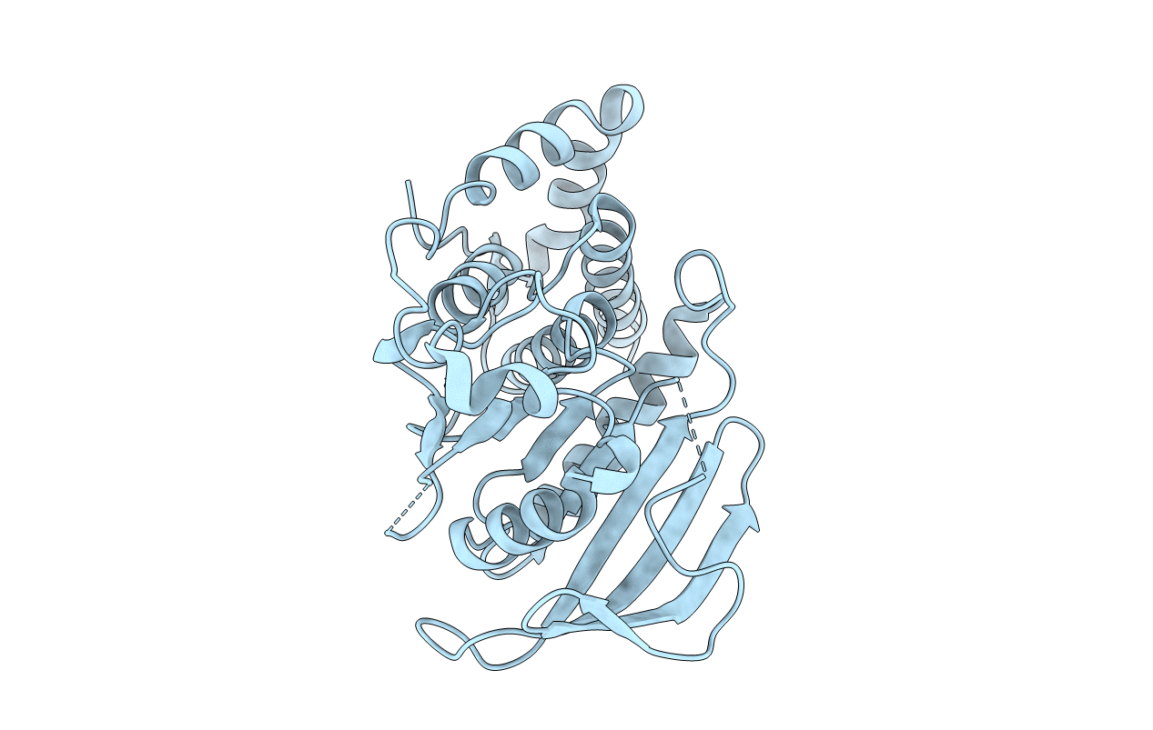 2I3U image
