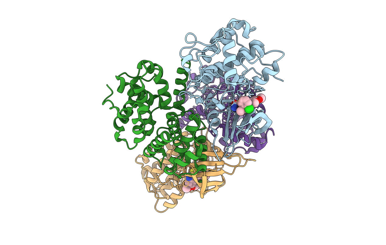 2I40 image