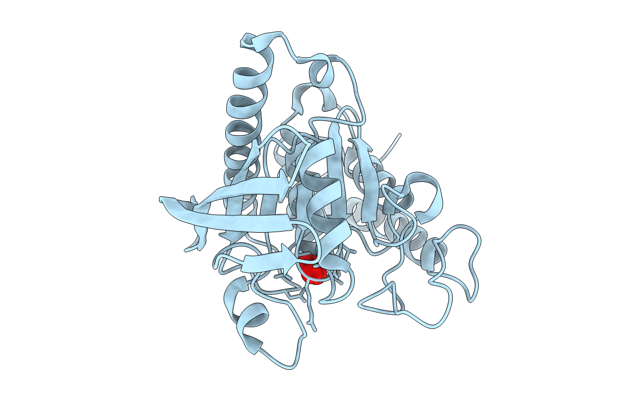 2I42 image