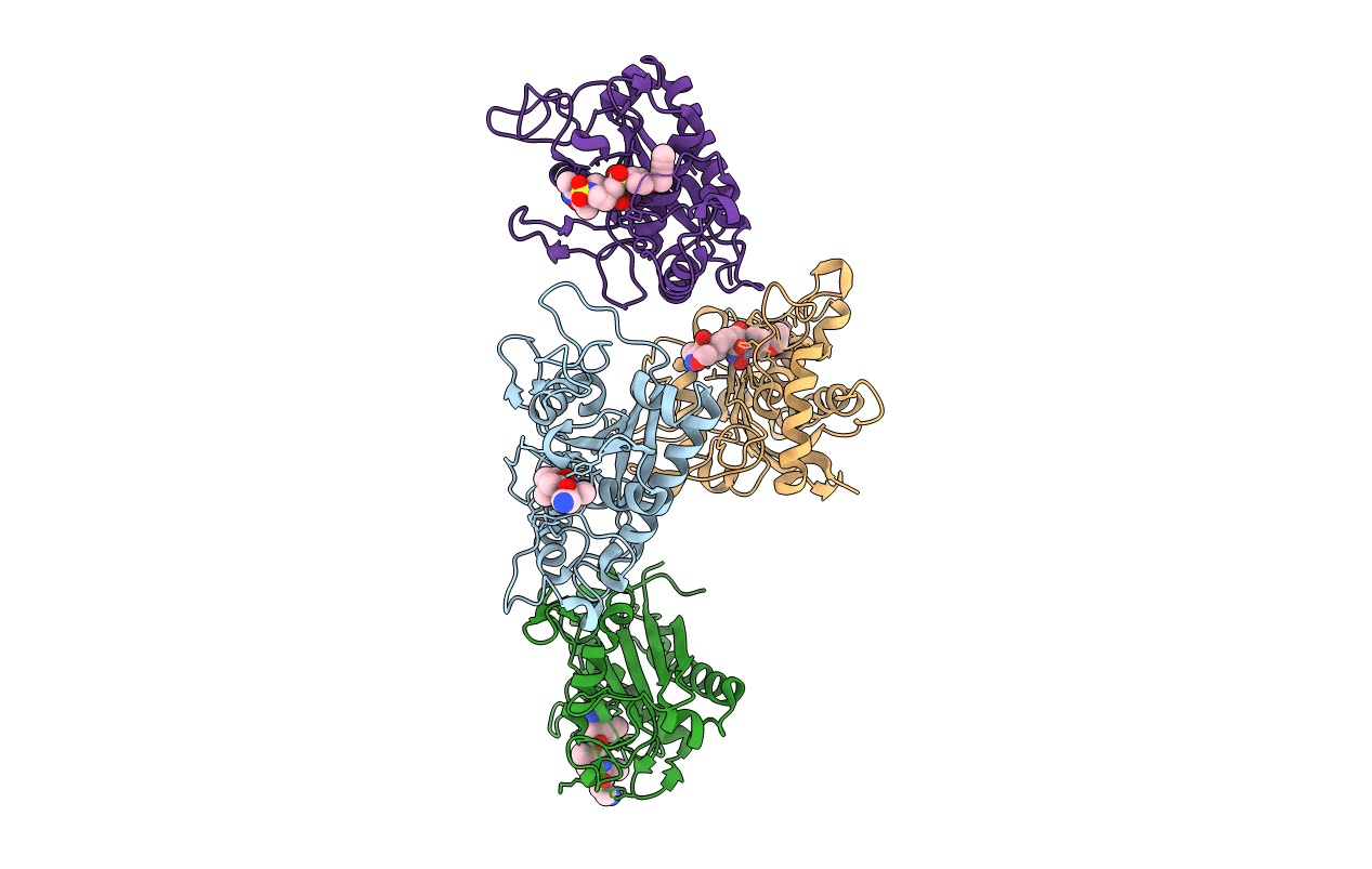 2I47 image