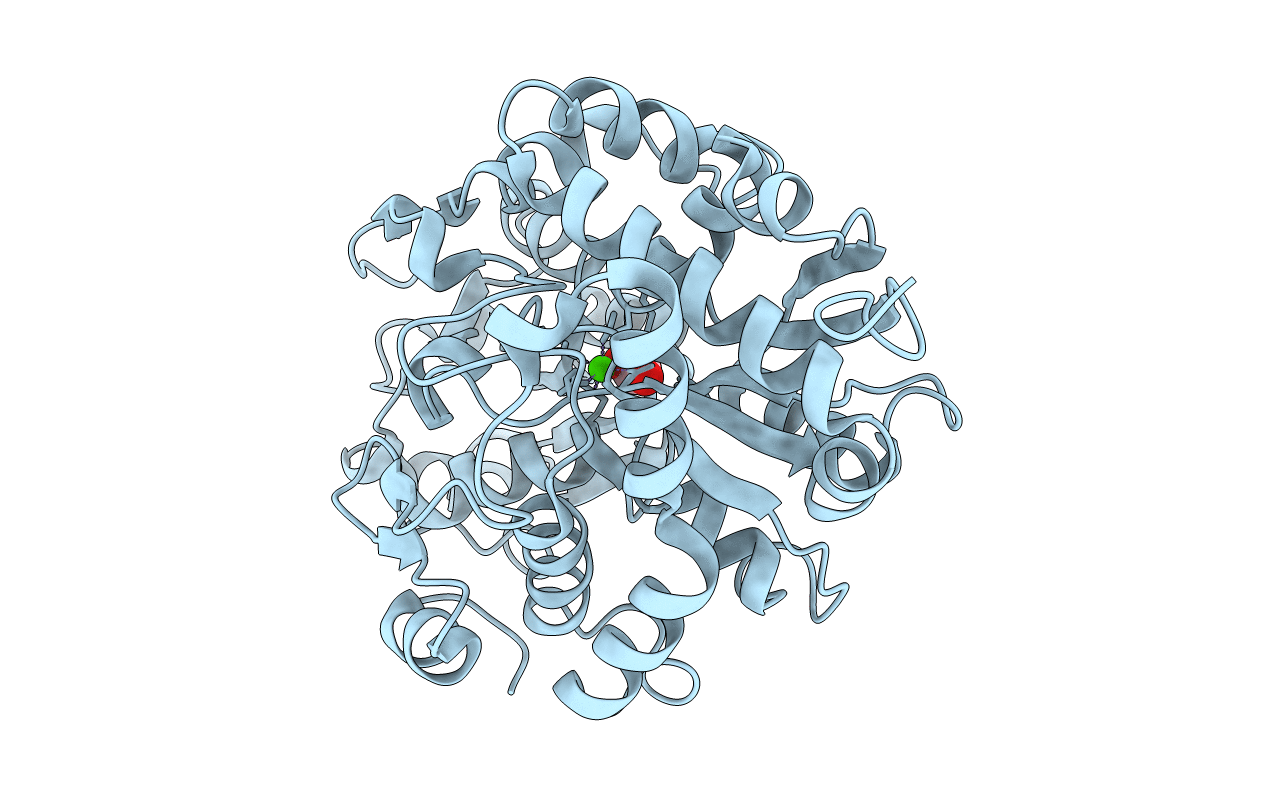 2I4C image
