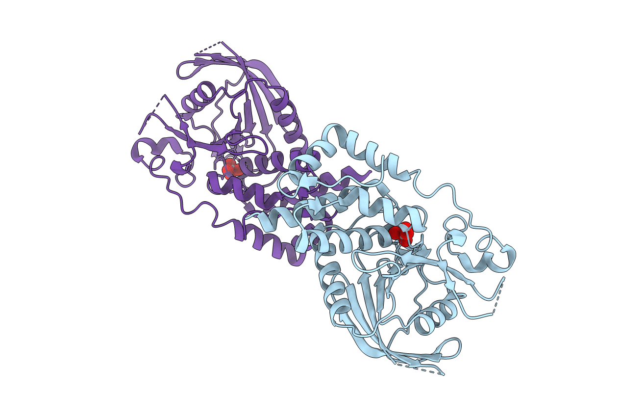 2I4E image