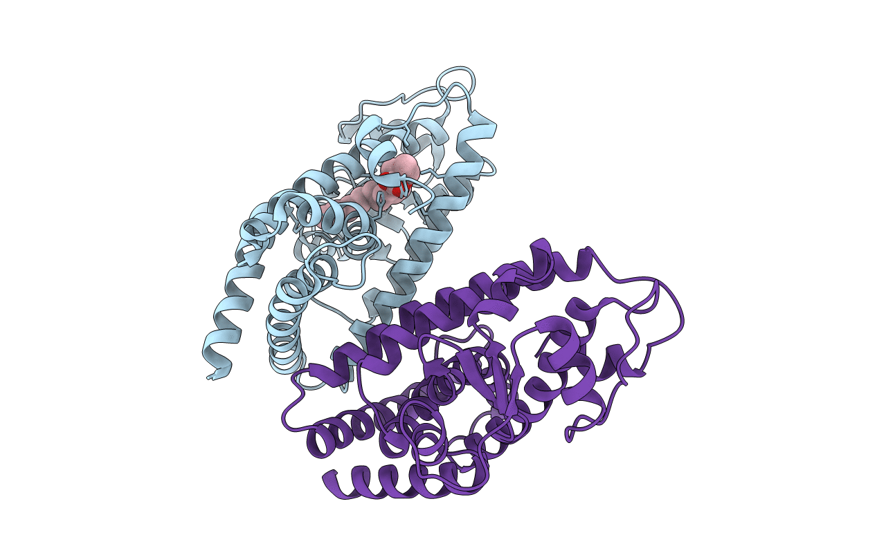 2I4J image