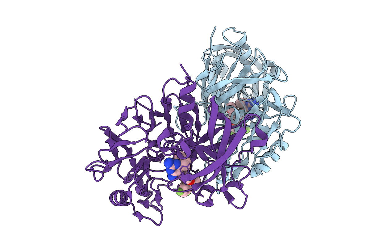2I4Q image