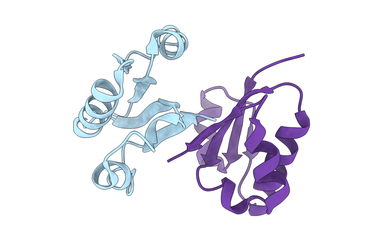 2I4R image