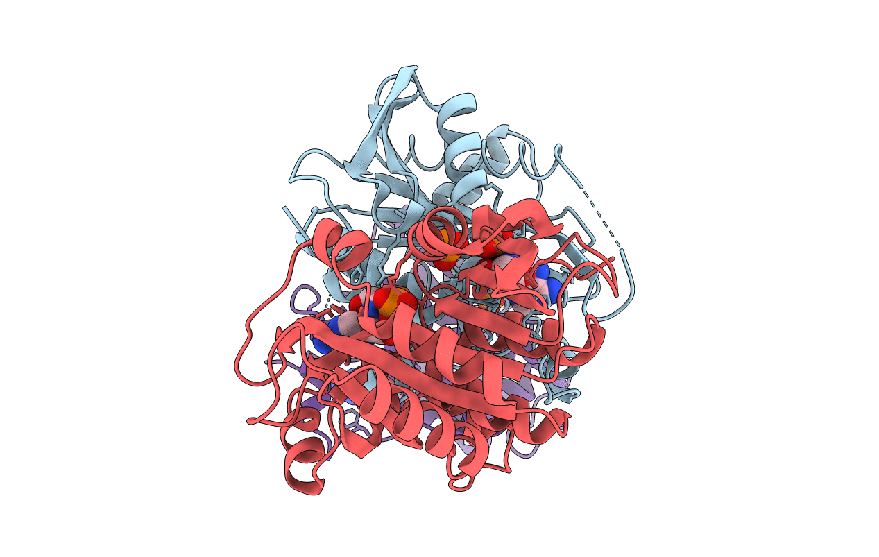 2I4T image
