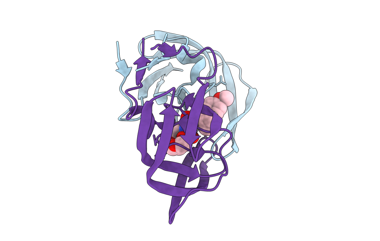 2I4U image