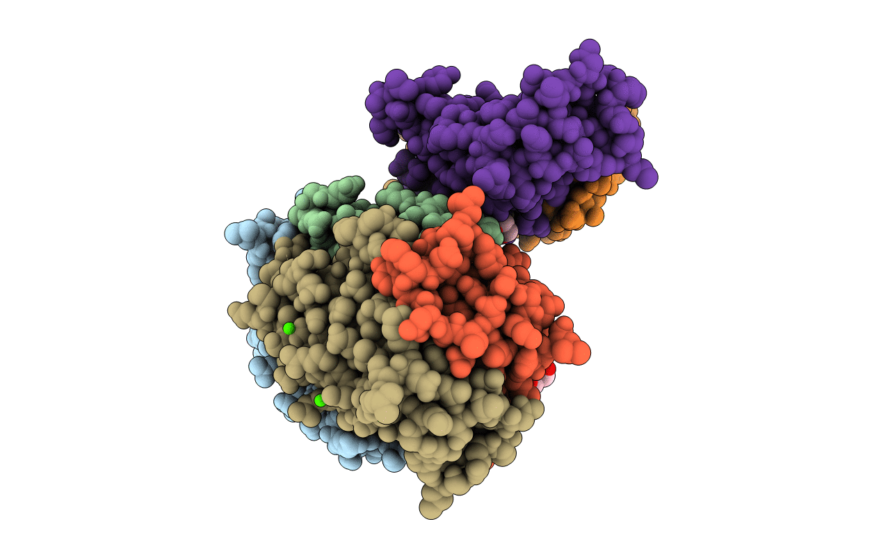 2I52 image