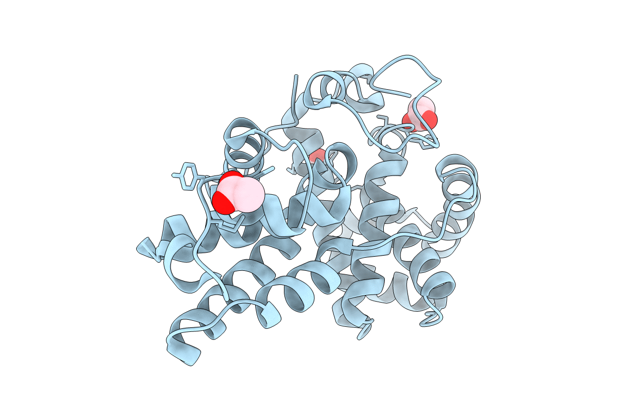 2I53 image