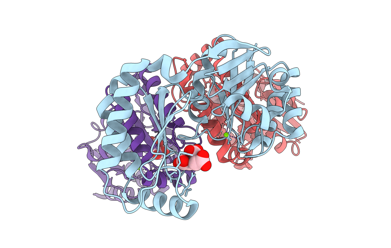2I54 image