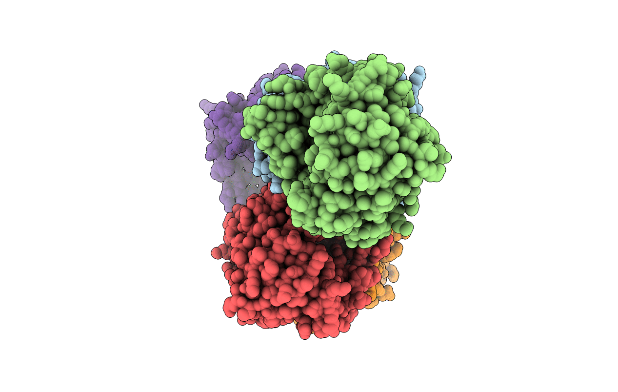 2I5B image
