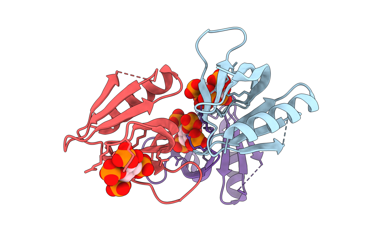 2I5C image
