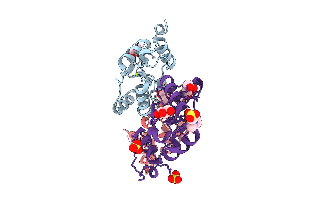 2I5R image