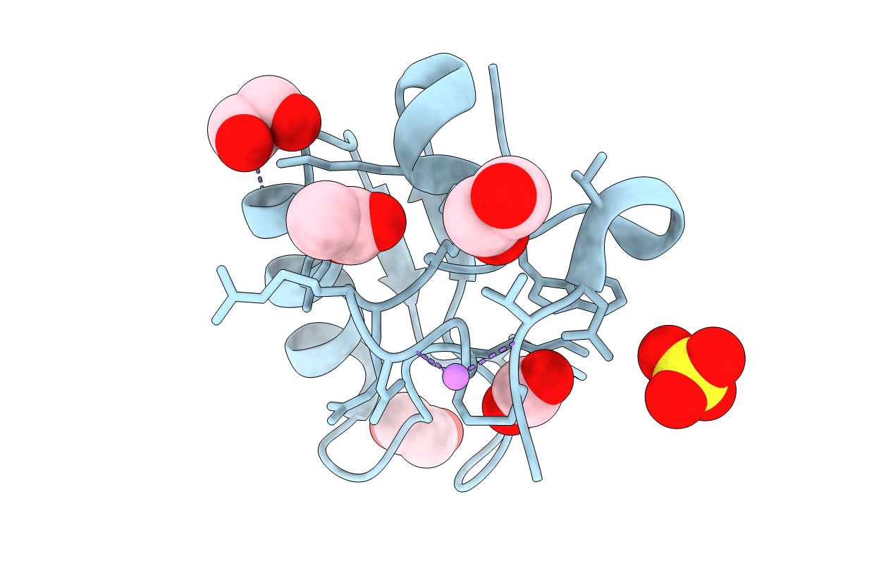 2I61 image