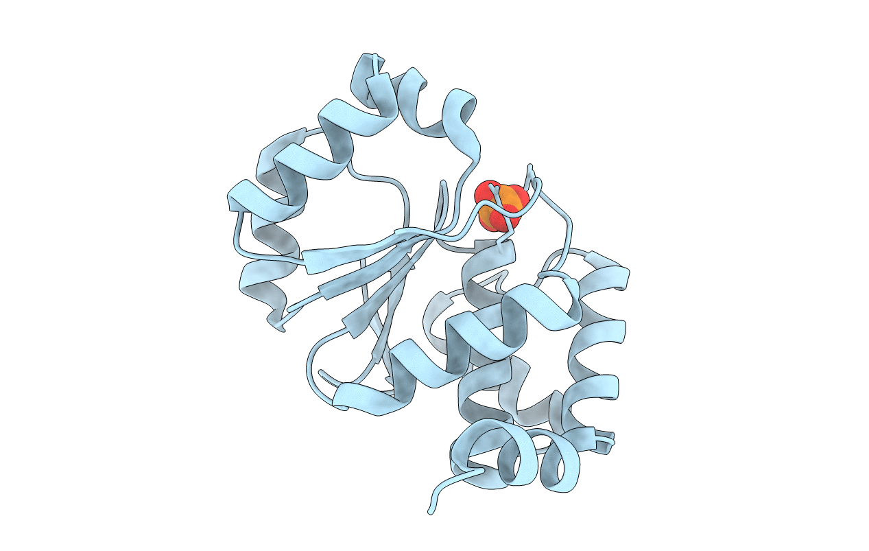 2I6J image