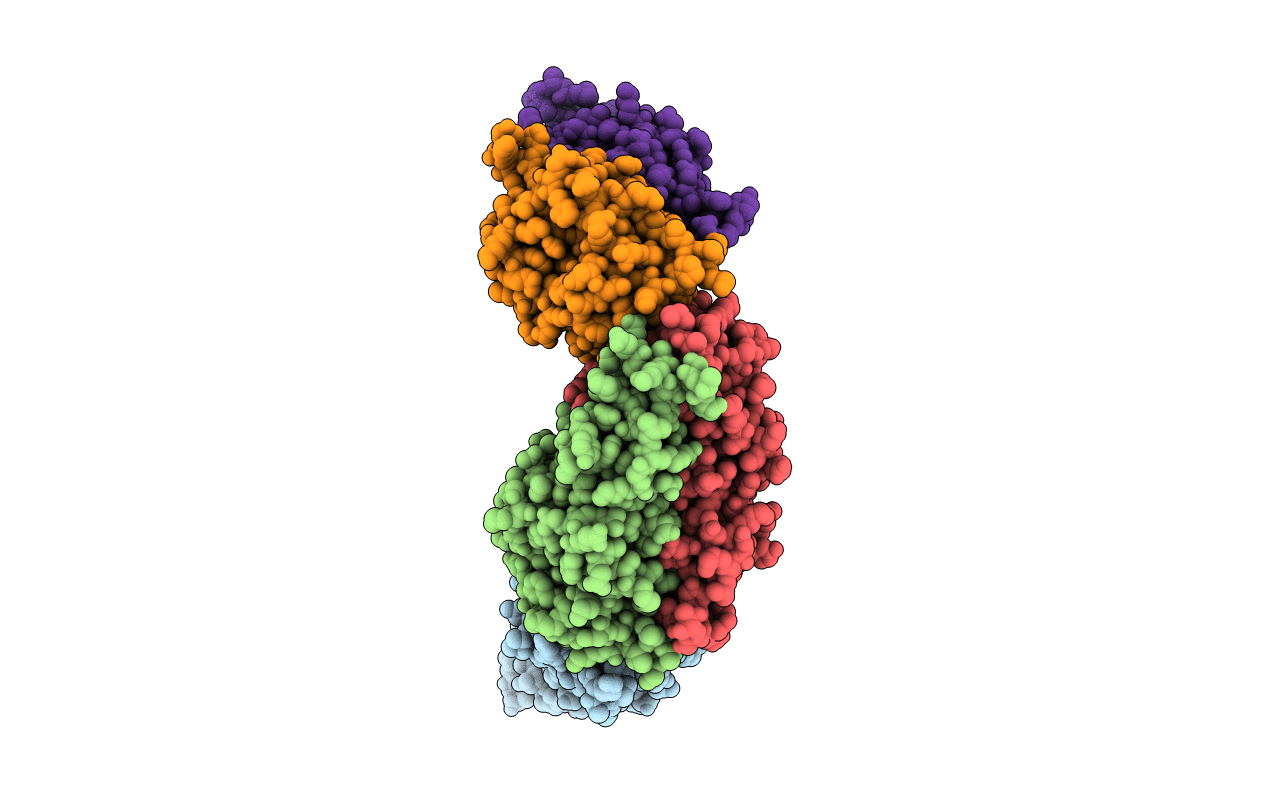 2I81 image